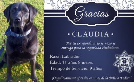 Agente canina "Claudia" se retira de la Policía Federal
