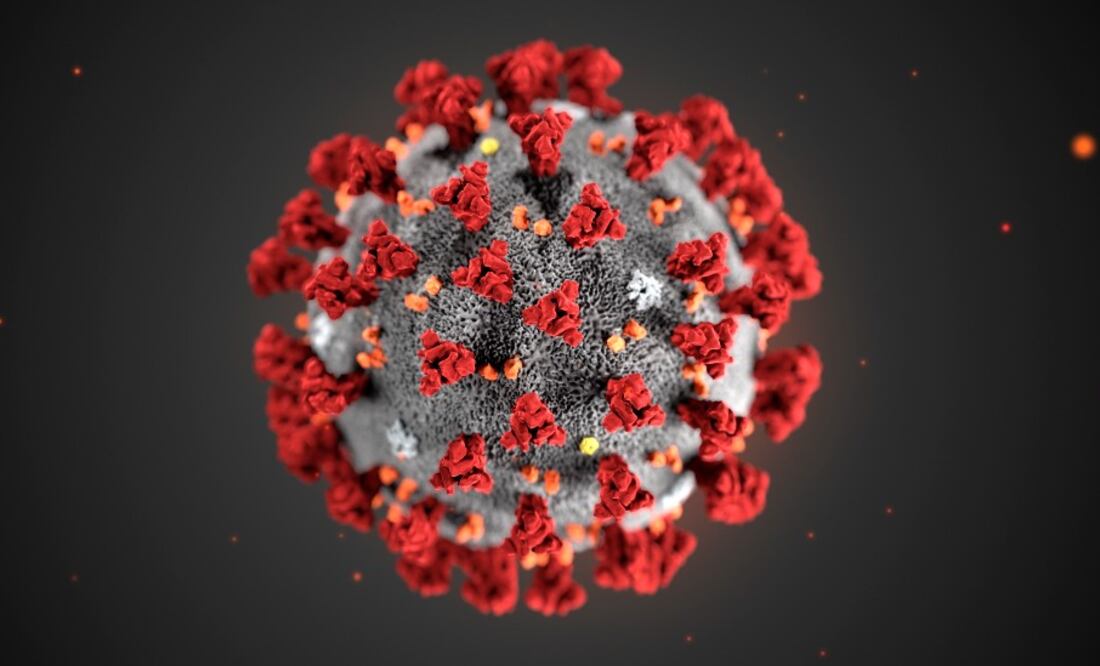 Ilustración del SARS‑CoV‑2, el virus que causa covid-19. Las células T reconocen fragmentos de los aminoácidos que componen el virus. Imagen: Science Photo Library