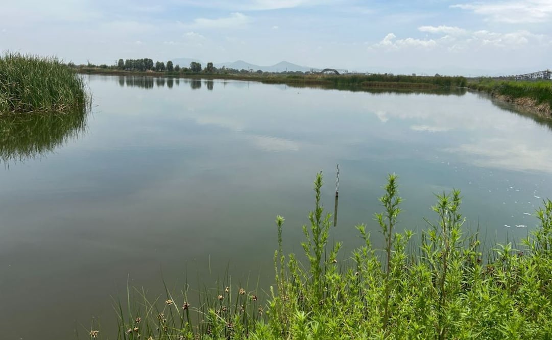 Lago de Texcoco recupera presencia hídrica (10/07/2025). Foto: Especial