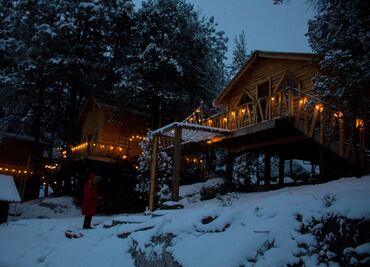 Wooden Inn: cabañas y glamping en un bosque nevado en México