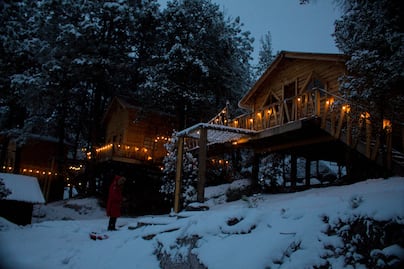 Wooden Inn: cabañas y glamping en un bosque nevado en México