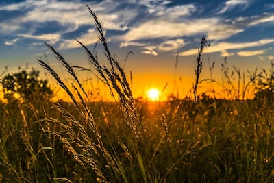 Solsticio de verano 2026: ¿cuándo ocurrirá este fenómeno?; conoce su significado