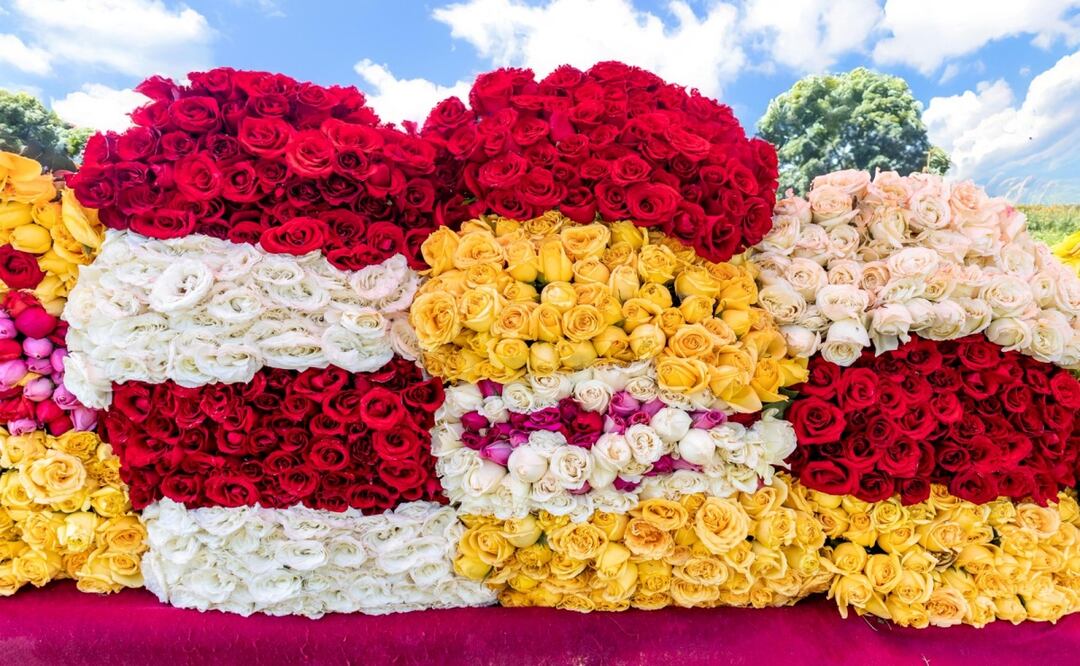 Productores de rosas en Morelos se alistan para el 14 de febrero; promueven el consumo local. Foto: Especial