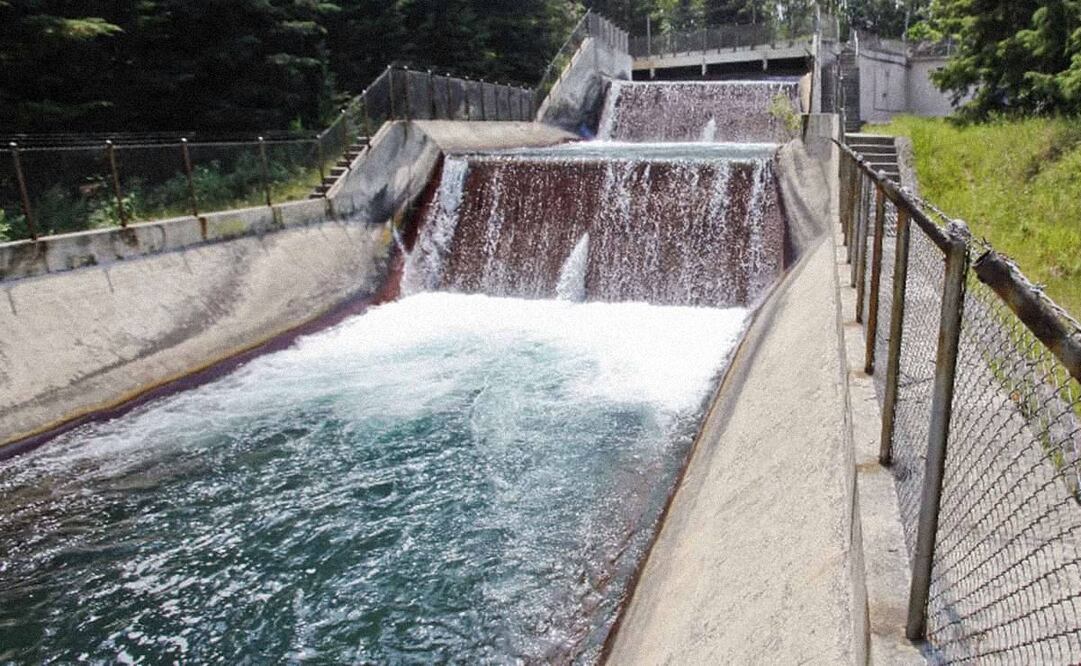 Foto: Archivo EL UNIVERSAL