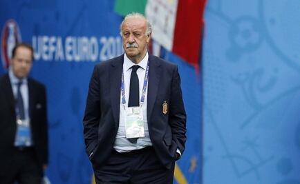 España puede hacer un gran mundial: Del Bosque 