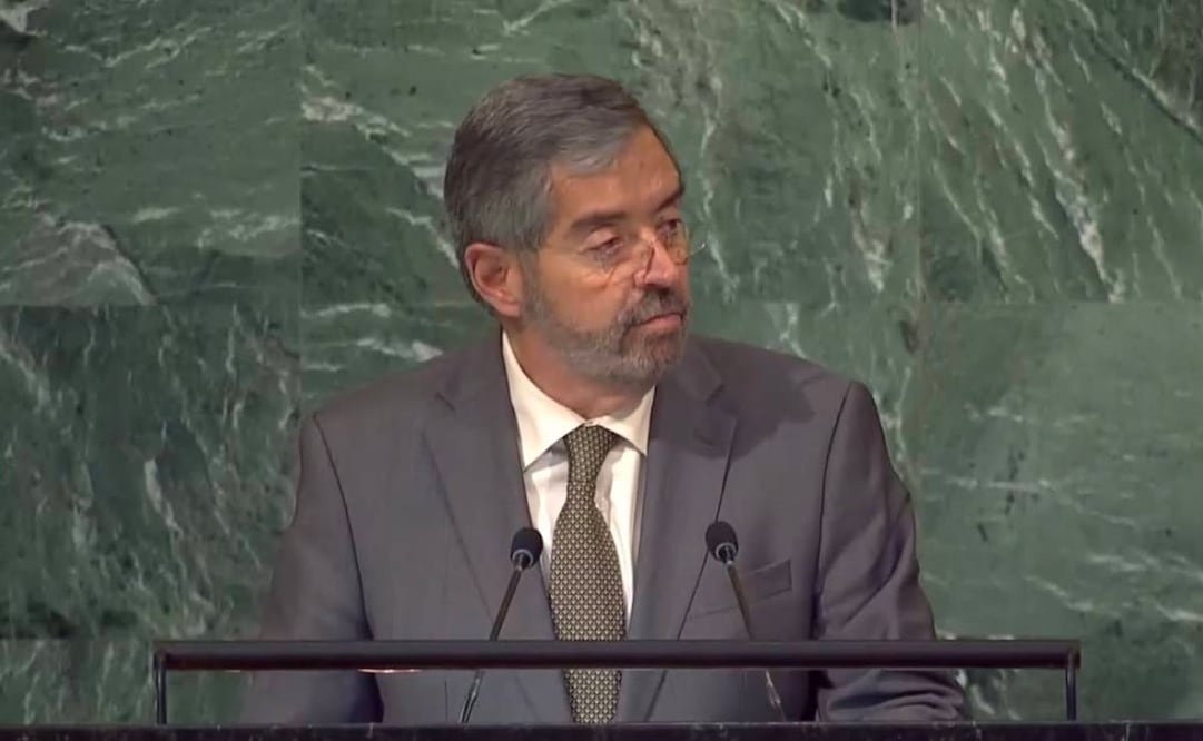 Foto: Twitter @MexOnu