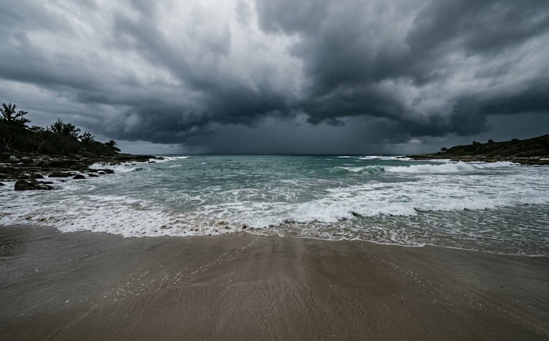 Aunque la temporada inicia en mayo y junio, el pico de mayor riesgo ocurre entre agosto y octubre. Imagen creada con IA