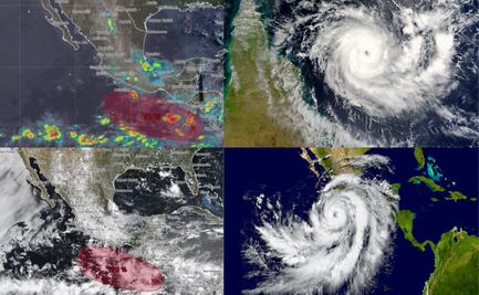 Onda Tropical Flossie: ¿cuándo llegará y qué estados serán los afectados?; descúbrelo aquí