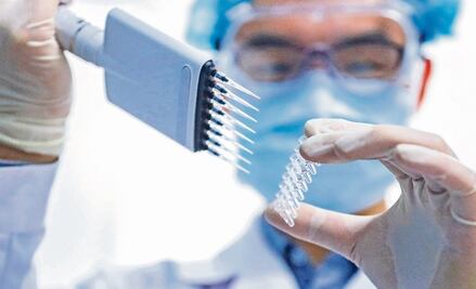 Viruela, cólera y ántrax. Así se desarrollaron las primeras vacunas