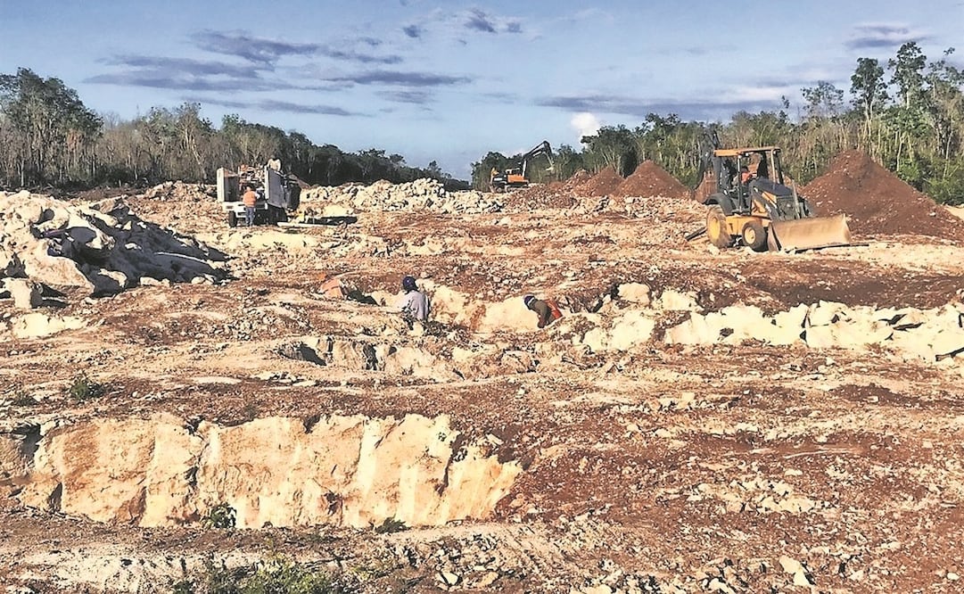 En el seminario Tren Maya e Inseguridad en Zonas de Monumentos Arqueológicos también se habló de la destrucción del medio ambiente por las obras. Foto: Archivo / EL UNIVERSAL