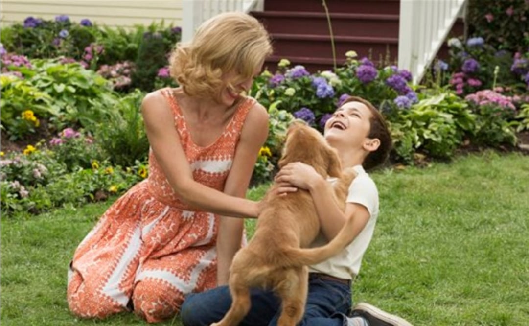 Foto: Universal Pictures / DreamWorks II Distribution Co., LLC and Walden Media, LLC / AP