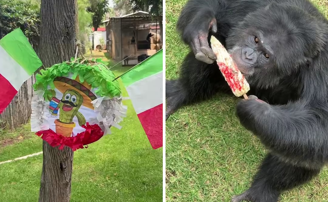 Foto: Captura de pantalla en redes sociales.