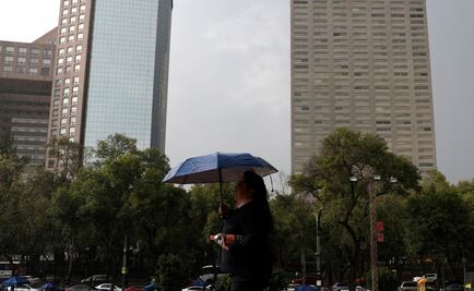 Caída de 3 árboles, de 5 ramas y una anegación, saldo por lluvias este sábado en CDMX