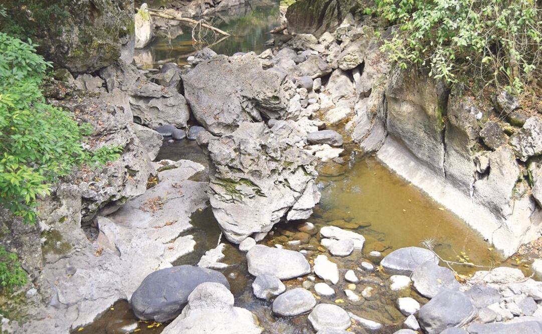 Foto: Archivo / EL UNIVERSAL