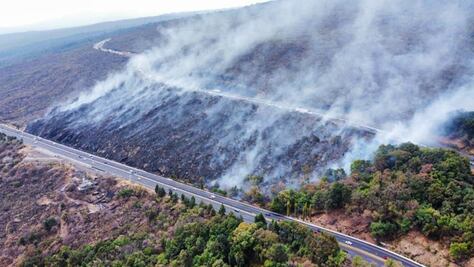 Liquidan al 100% incendio forestal al lado de la autopista México-Cuernavaca