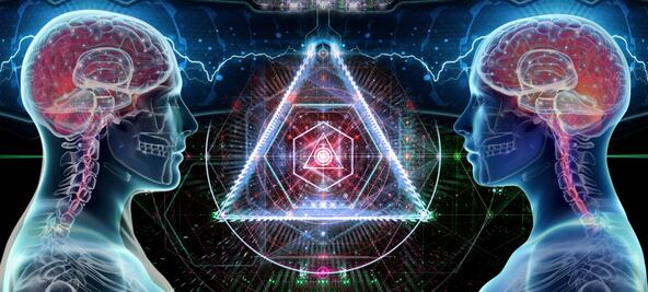 Estudio revela cómo se da cuenta el cerebro que ha cometido un error