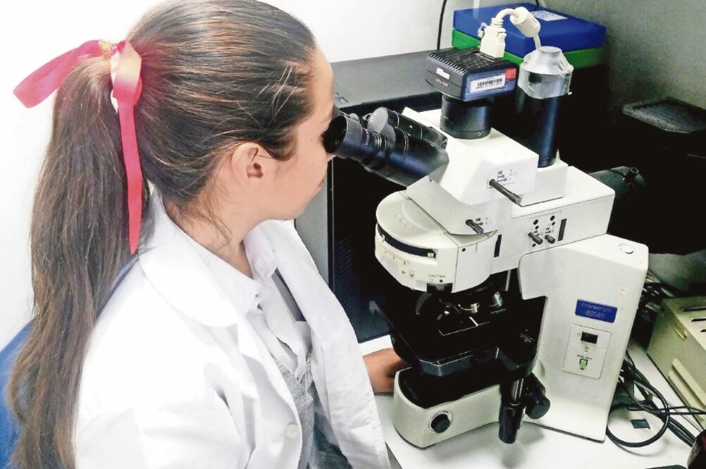 La niña científica que indaga campos electromagnéticos 