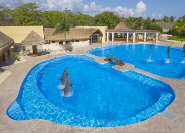 Profepa investiga delfinario de hotel Barceló Riviera Maya; tiene denuncias de maltrato animal por hacinamiento