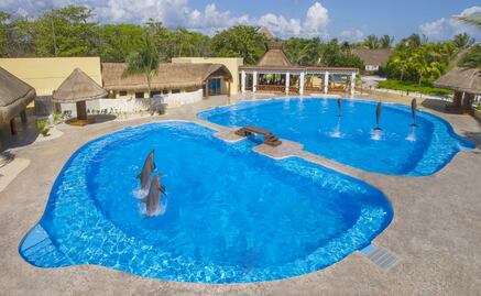 Tras video, ONG denuncia muerte de delfín durante show en hotel de Riviera Maya; exigen a Profepa clausurar delfinario