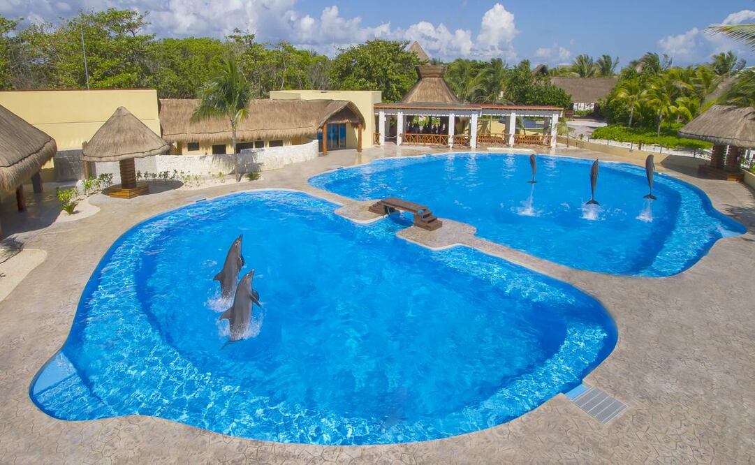 Delfinario del hotel Barceló Riviera Maya. Foto: Dolphinaris