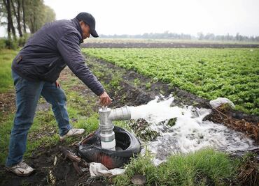 Conagua y Grupo Rotoplas firman acuerdo para impulsar tecnificación de riego en Morelos; estiman inversión de un mdp