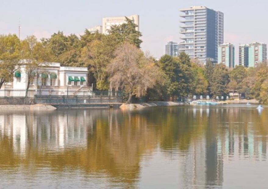 El reto de rehabilitar la naturaleza del Bosque de Chapultepec