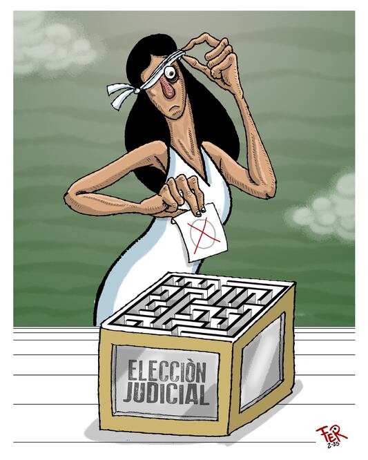 Cartón de FER