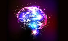 Efectos de la IA en la mente humana; ¿por qué el cerebro podría estar perdiendo agilidad y cómo evitarlo?