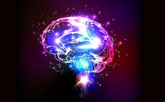 Efectos de la IA en la mente humana; ¿por qué el cerebro podría estar perdiendo agilidad y cómo evitarlo?