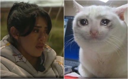 La Granja VIP: los mejores memes que dejó la octava asamblea de nominaciones