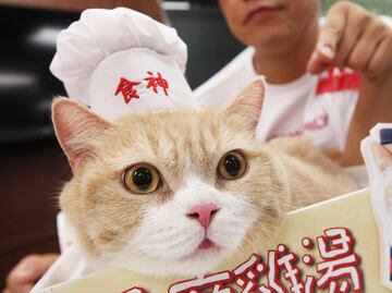 9 cosas que debes saber de Hong Kong