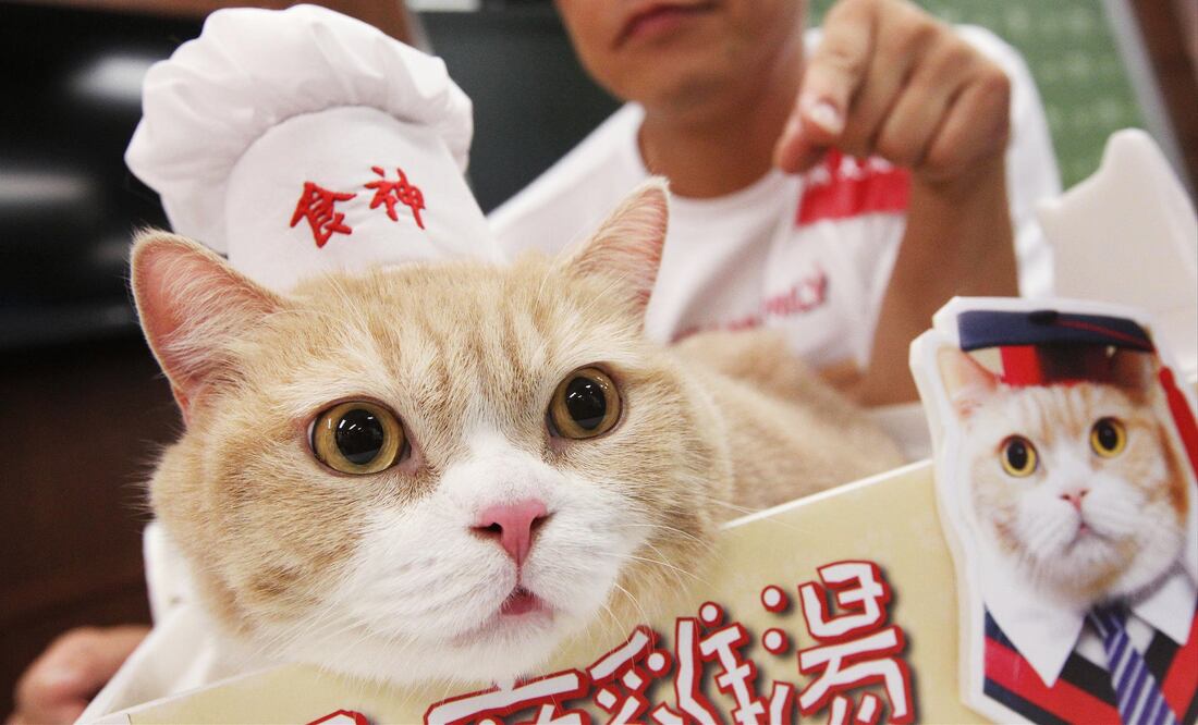 Brother Cream, su historia en 2012 es la razón por la cual se hizo famoso. (Foto: David Wong)