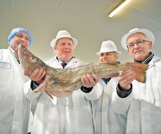 Reino Unido va a las urnas entre fragmentanción política