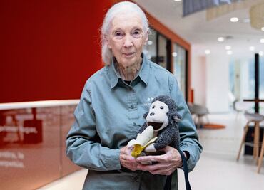“Estamos en la sexta extinción planetaria”: Jane Goodall