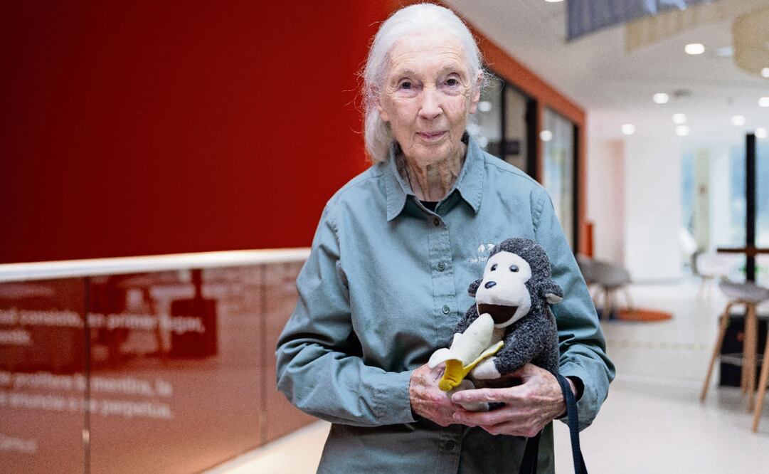 La zoóloga de 91 años Jane Goodall explicó que mantiene la esperanza en gran medida por los jóvenes. Foto: Hugo Salvador / EL UNIVERSAL