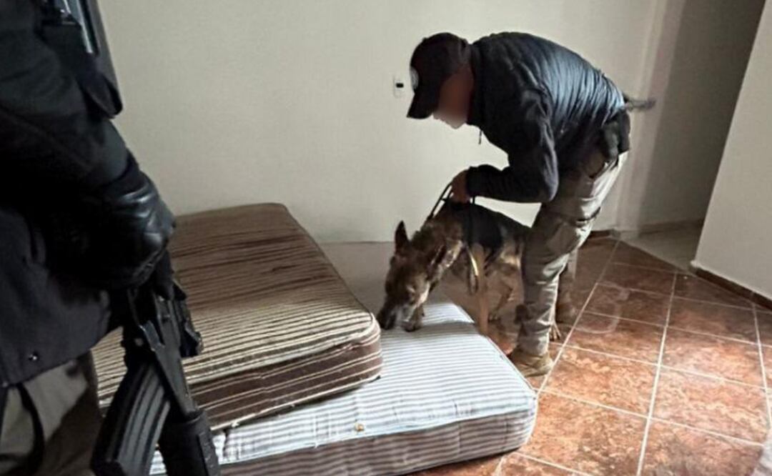 Se dio a conocer que a través de una llamada anónima, se informó sobre un inmueble donde se almacenaban armas y droga. Foto: Especial