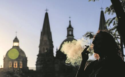 Buscan replicar marco legal sobre cannabis