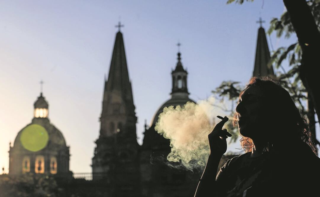 Morena pretende que la ley de cannabis en México se centre, entre otros puntos, en proporcionar un suministro de calidad controlada. Foto: Archivo/ EL UNIVERSAL