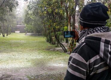 Guanajuato: viento derriba 255 árboles y 63 espectaculares