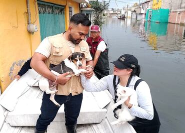 Edomex registra lluvias históricas, aseveró el titular de Protección Civil