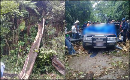 Caída de árboles deja tres muertos y tres heridos en dos municipios de Chiapas