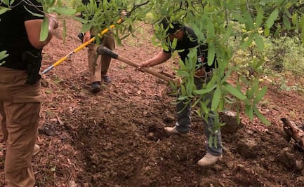 Hallan dos cuerpos más en donde criminales enterraron a beisbolista en Chihuahua