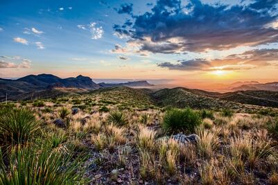 Fecha y lugar del Primer Encuentro Nacional de Productores de Sotol