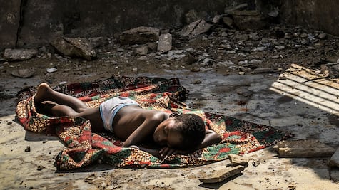 Fotógrafo ambiental del año 2021: las trágicas imágenes de una realidad 