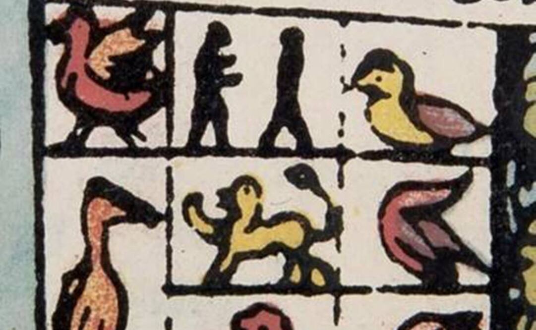 En sus crónicas, Gonzalo Fernández de Oviedo asegura que vio hasta 50 águilas en el palacio de Moctezuma. Por las formas que adquiría en pleno vuelo, los mexicas la bautizaron como águila dorada "porque cuando vuela se ve como el sol y esta parte la vinculaba con el dios solar y de la guerra, Huitzilopochtli".