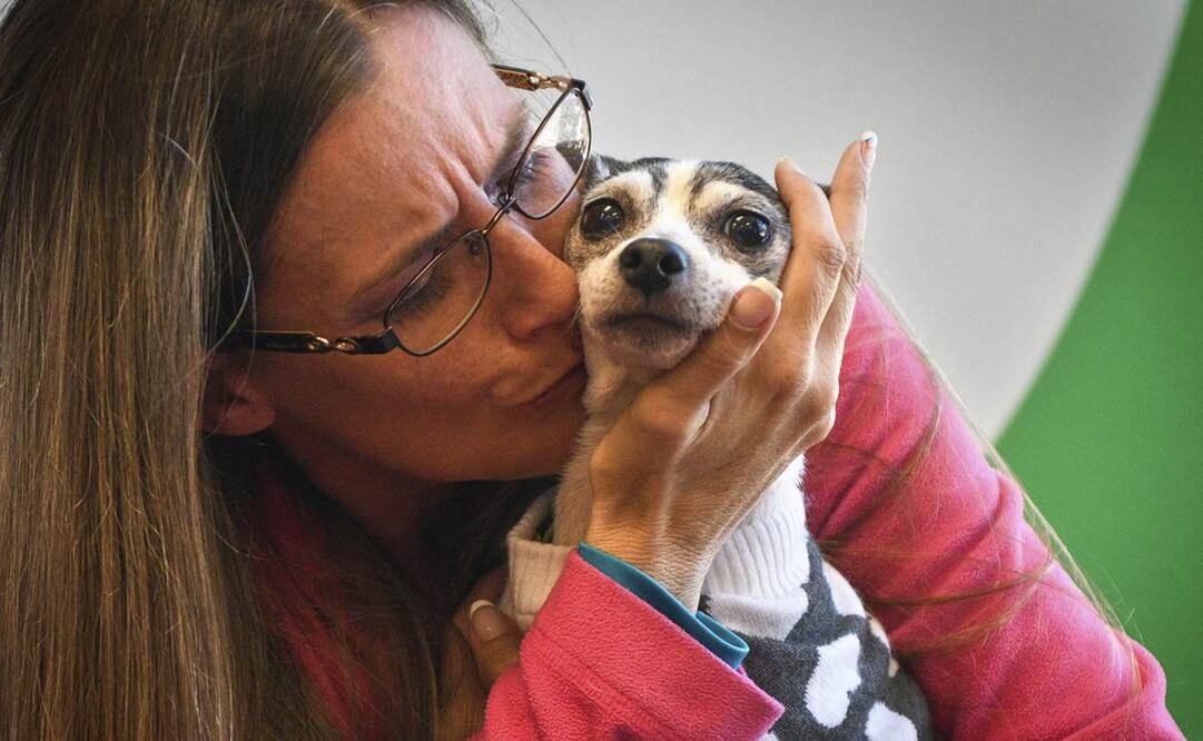 Katheryn Strang se reúne con su perra fox terrier miniatura Dutchess en un centro de Humane Animal Rescue el viernes 11 de octubre de 2019. (Steve Mellon/Pittsburgh Post-Gazette vía AP)
