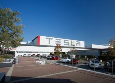 Corte alemana autoriza a Tesla talar árboles para su nueva planta