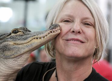 Por descuido conservacionista, tortugas y cocodrilos son las especies en peligro de extinción más amenazadas