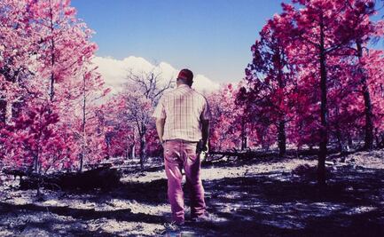 Mexicana fotografía el viaje que hizo en busca de su padre biológico; el proyecto le vale un premio internacional