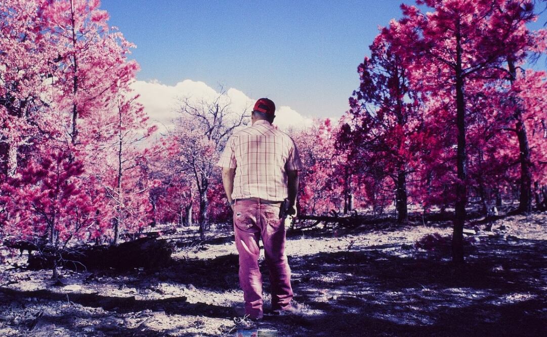 Foto: Alejandra Aragón